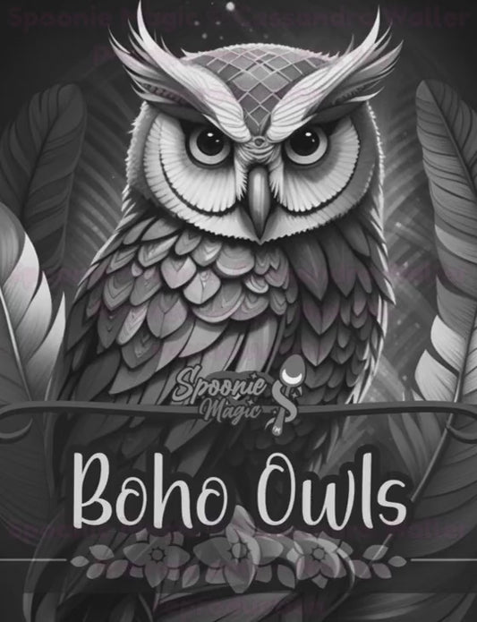 Preview of Interior Boho Owls Coloring Book