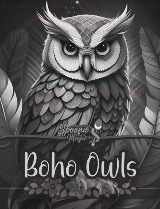 Preview of Interior Boho Owls Coloring Book